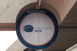 SfN 2013